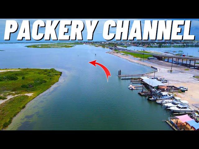 Packery Channel Flats Fishing is on FIRE! (Corpus Christi TX)