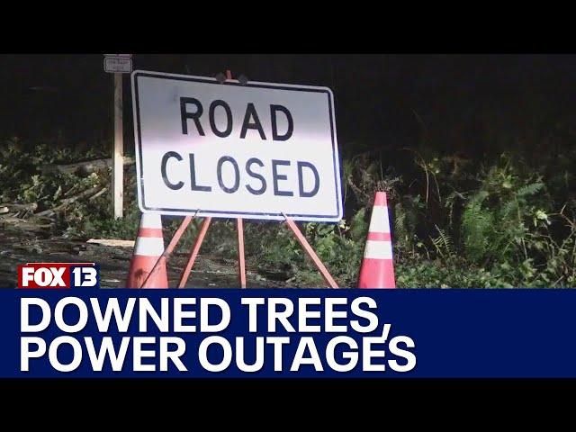 Power outages, downed trees reported across western WA | FOX 13 Seattle