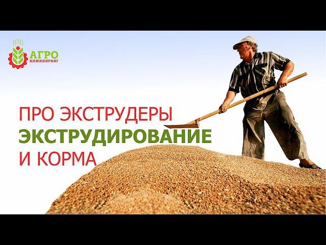 Экструдированные  корма. Как делают и как кормят животных!