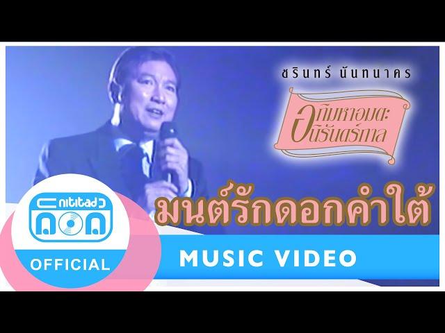 มนต์รักดอกคำใต้ - ชรินทร์ นันทนาคร [Official Music Video]