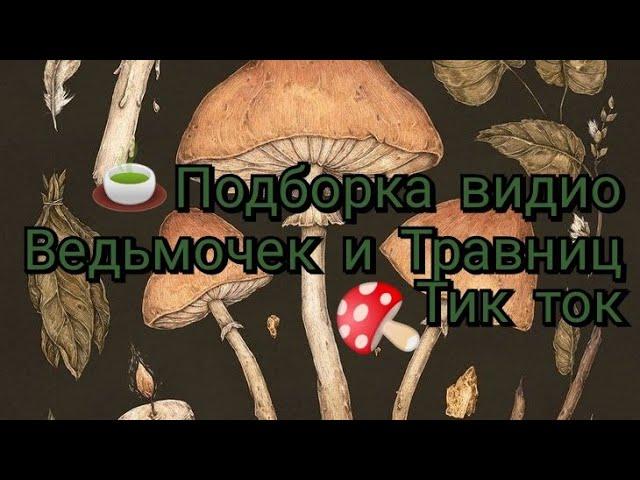 ПОДБОРКА ВИДИО ТИК ТОК ДЛЯ ВЕДЬМОЧЕК И ТРАВНИЦ 1 часть