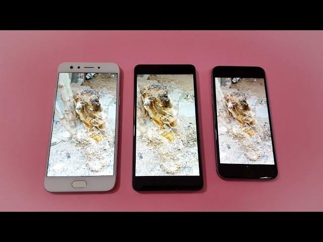 Oppo F3 vs Redmi Note 4 vs iPhone 6 Screen Comparison | Real Test | TechTag