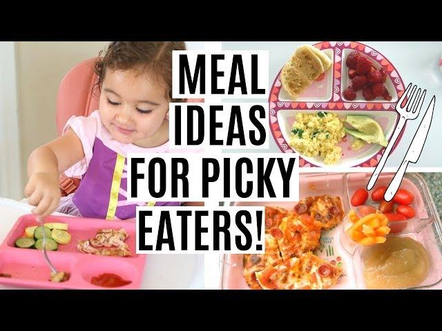 WHAT MY TODDLER EATS IN A DAY | TODDLER MEAL IDEAS FOR PICKY EATERS!