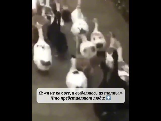 Бывала у вас похожая ситуация?)