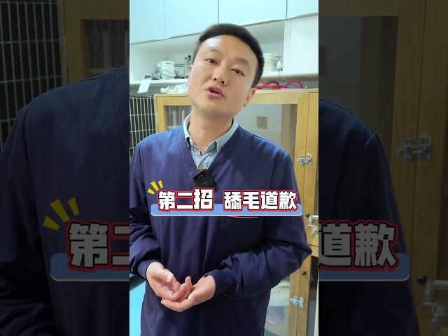 不小心踩到猫，三招正确给猫道歉！