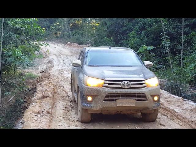 Sustainable forest management project, Rondônia, Brazil