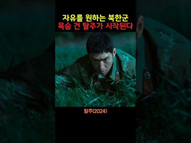 자유를 원하는 북한군 목숨을 건 탈주가 시작된다