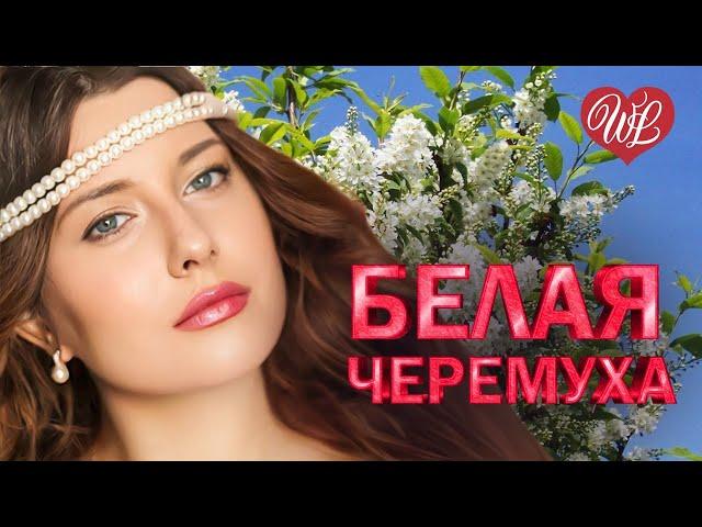 БЕЛАЯ ЧЕРЕМУХА  ХИТЫ ШАНСОНА ДЛЯ ТАНЦПОЛА WLV  ПЕСНЯ ЗАЖИГАЛКА  RUSSISCHE MUSIK RUSSIAN MUSIC HIT