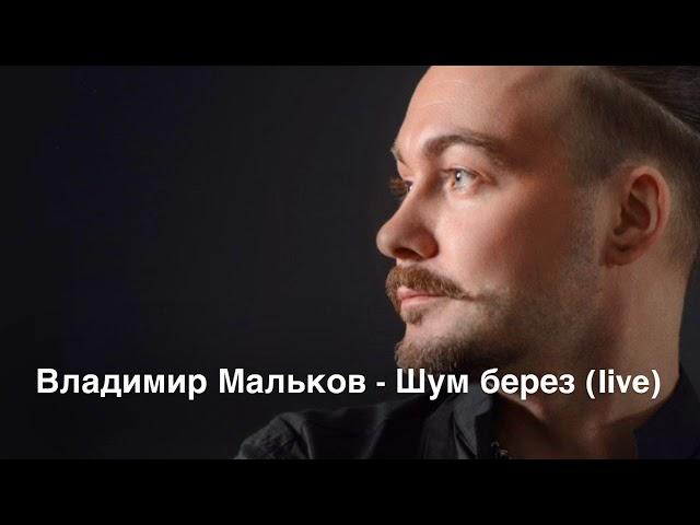 Владимир Бельский - Шум берез ( муз. К. Орбелян, сл., В. Лазарев) - LIVE версия