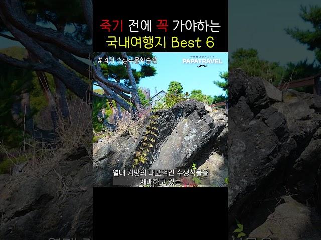 [#파파트래블] 죽기 전에 꼭 가 봐야하는 국내여행지 BEST6