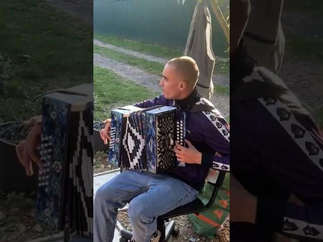Комбайнеры И.Растеряев  #music #гармошка