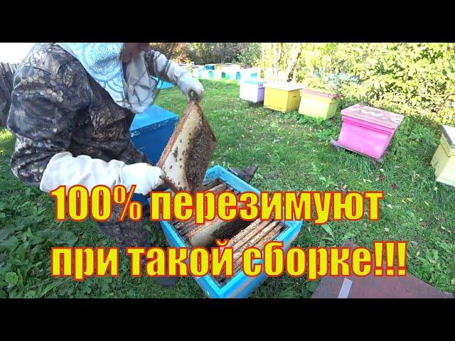 КАК ПРАВИЛЬНО СФОРМИРОВАТЬ ГНЕЗДО ПЧЕЛОСЕМЬИ В ЗИМУ ДЛЯ 100% ЗИМОВКИ