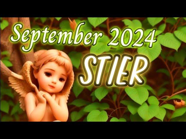 Stier September 2024 Neuanfang ~ du solltest schon den Startknopf drücken