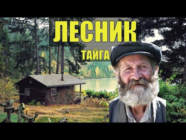 ЖИЗНЬ ЛЕСНИКА ИСТОРИЯ из ЖИЗНИ ОТШЕЛЬНИК ХОЗЯИН ЛЕСА СУДЬБА в ТАЙГЕ ЖИЗНЕННЫЕ РАССКАЗЫ НА НОЧЬ