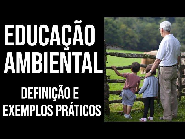 O QUE VOCÊ PRECISA SABER SOBRE EDUCAÇÃO AMBIENTAL | MEIO AMBIENTE | Marcela Miranda