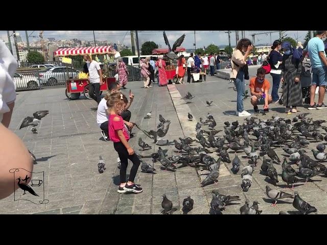 Eminonu, Istanbul.