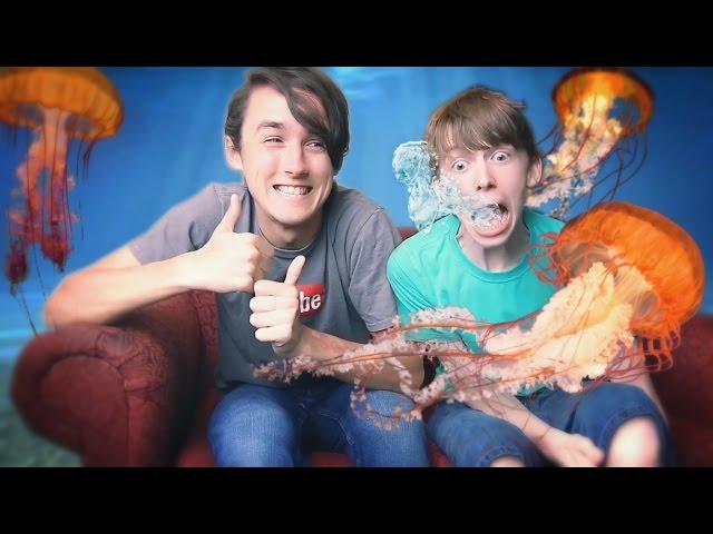 GETTING STUNG BY JELLYFISH!!! (ft. Chris Howard from Pun Diddley)