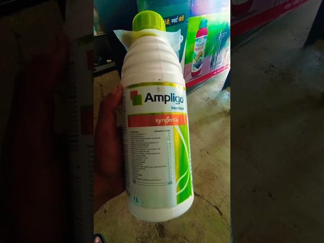 Ampligo Insecticide| Syngenta Ampligo Insecticide |Ampligo Syngenta| #syngenta #shorts #insecticide