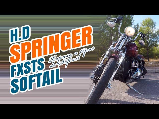 Harley Davidson softail springer fxsts repaso a los tipos de chasis