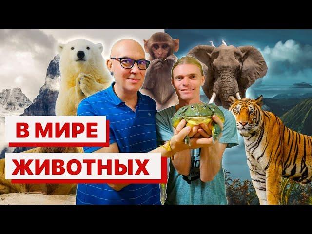 В мире животных. Путешествия натуралистов. Захватывающие истории