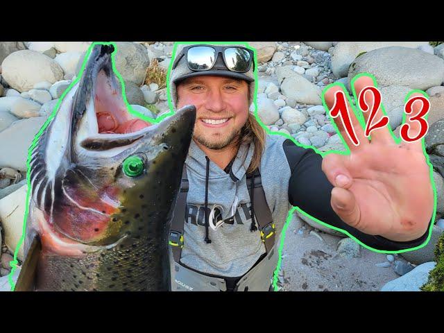 TOP 3 Most PROVEN EFFECTIVE Ways To Catch STEELHEAD