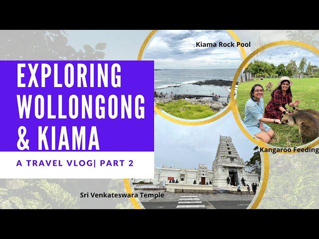 Explore Wollongong and Kiama- Part Two| Kangaroos | NSW Travel Vlog  #Wollongong #Kiama #Sydney