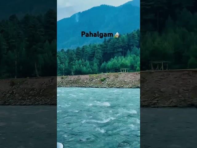 Pahalgam vibes #viral #reels #tranding #shrots #kashmir #travel