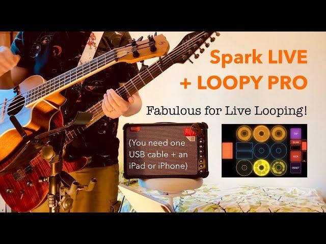 EP153 SPARK LIVE amp + LOOPY PRO: Fabulous for LIVE LOOPING!?