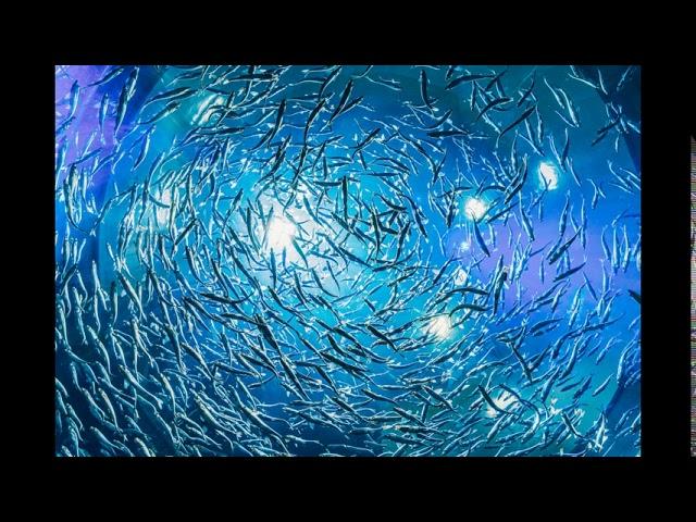 Relaxing Underwater Sounds Hd #Emptitation #MeditationMusic #SleepMusic