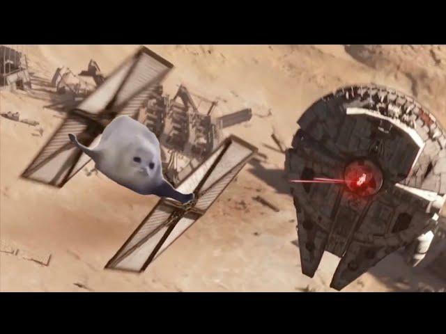 Bouncing Seals In Star Wars!!