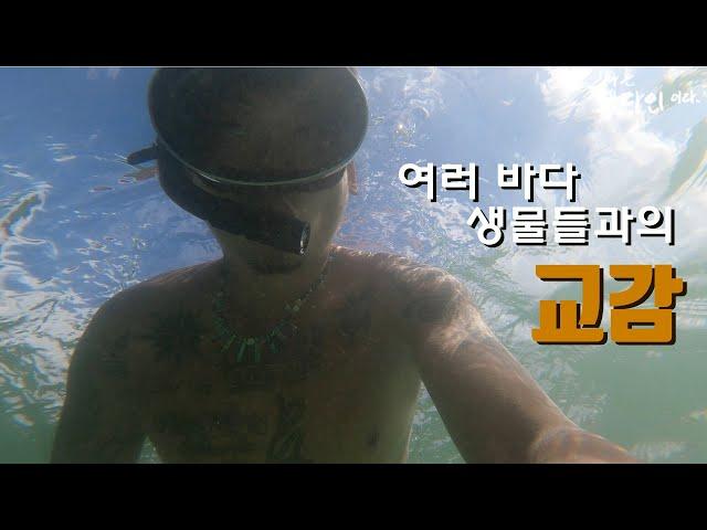 제주의 바다 생물 관찰하고 교감하기