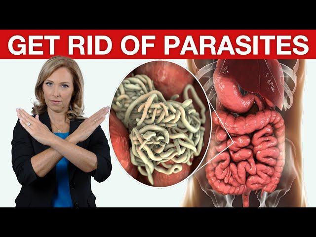 9 Tips to Get Rid of Parasites & Candida | Dr. Janine