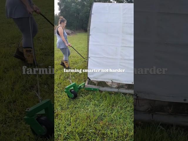 The best chicken tractor and wheels combo 