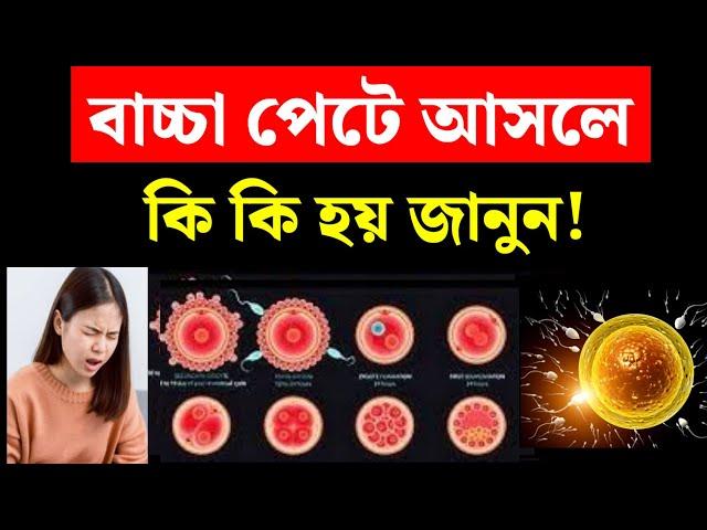 বাচ্চা পেটে আসলে কি কি হয় | Swasthya Bidhi Tips |