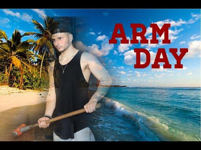 ARMS IN PARADISE