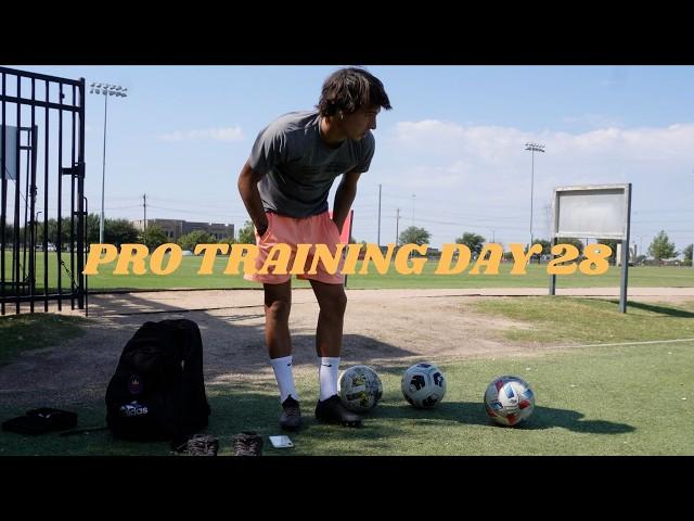 Professional Training Day 28