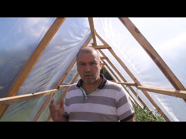 Помидоры и огурцы без полива две недели.