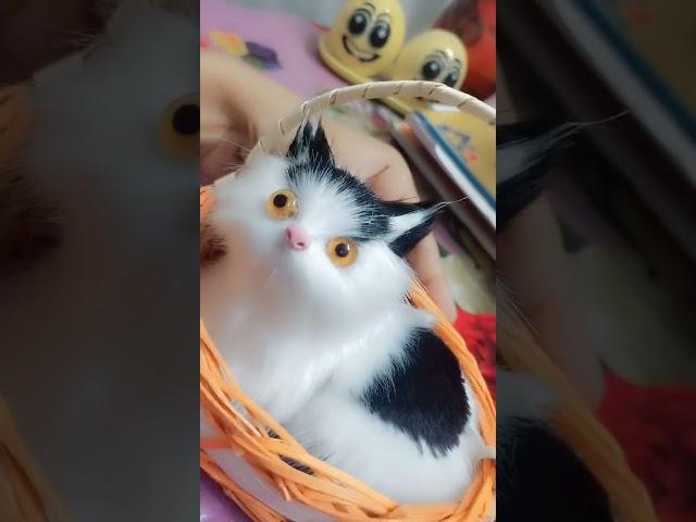 cute cat.. angel