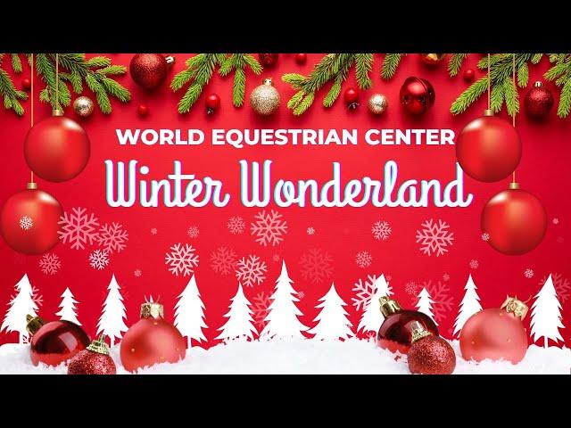 Winter Wonderland at the World Equestrian Center