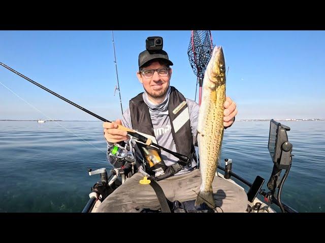 King George Whiting on Soft Plastics breaking in a Shimano Expide & Stradic FM