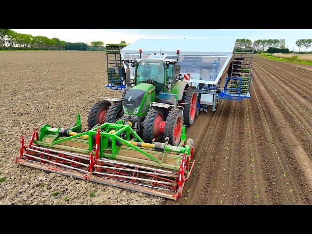 Fully Automated Planting of Brussels Sprouts w/ 6-row TTS Transplanter - Fendt 724 - Verdonk