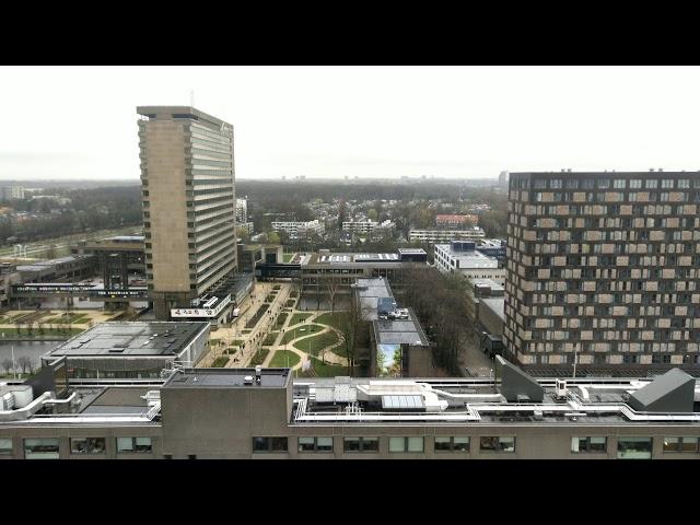 View from IHS, Erasmus University Rotterdam