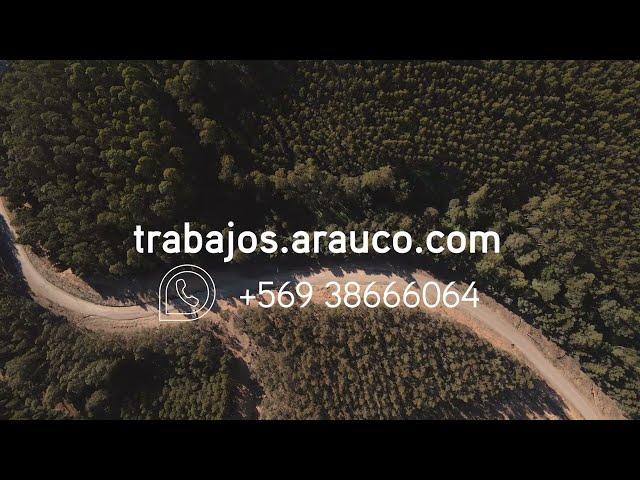 Trabaja con nosotros | Construcción de Caminos Forestales