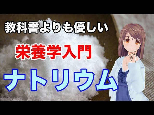 【栄養学入門】ナトリウムの特徴や生理作用、過剰症や欠乏症などを簡単に解説してみた！