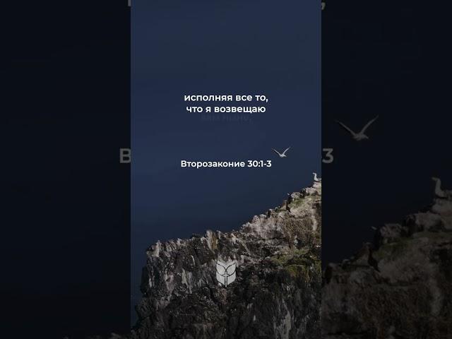 Второзаконие 30:1-3 в современном переводе #библия #biblevision