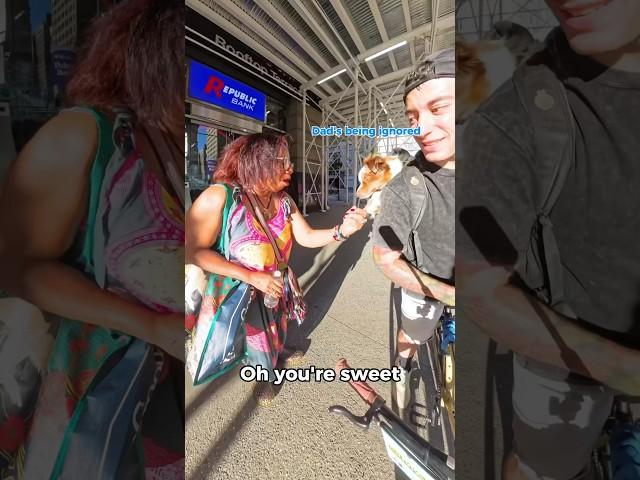 NYC reacts to the best dog #dog #australianshepherd #funnyanimal