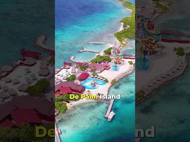 Aruba’s Top 5 Must-Visit locations | Unveiling Paradise ️