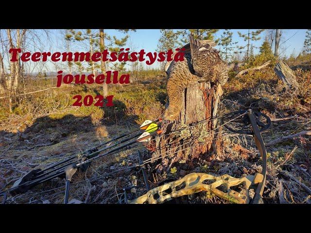 Teerenmetsästystä jousella 2021