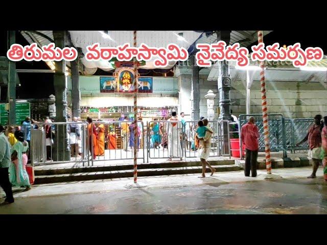 Tirumala Varaha Swamy Naivedhya Samarpana Samayam | Om Namo Venkatesaya | Tirumala