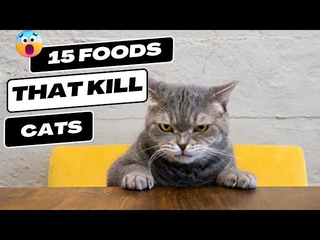 15 Dangerous Foods for Cats. Your Cat Should Never Eat This